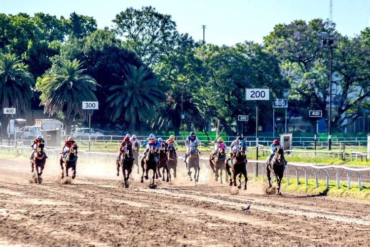 Emocionante Reunión en honor al inigualable Ángel Óscar Barattucci